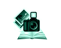 Grafico por especies