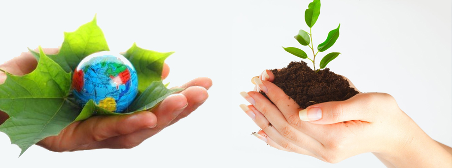 Happy Birthday - Inflables en Santa Rosa